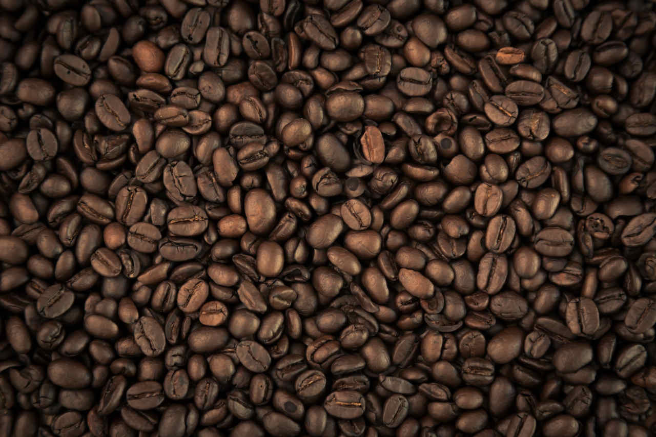 Agronegócio Notícias - Safra de café deve registrar aumento de 16,8% em 2022, diz Conab
