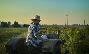 Agronegócio Notícias - Agricultores receberam R$ 5,4 bilhões em indenizações de seguro rural em 2021