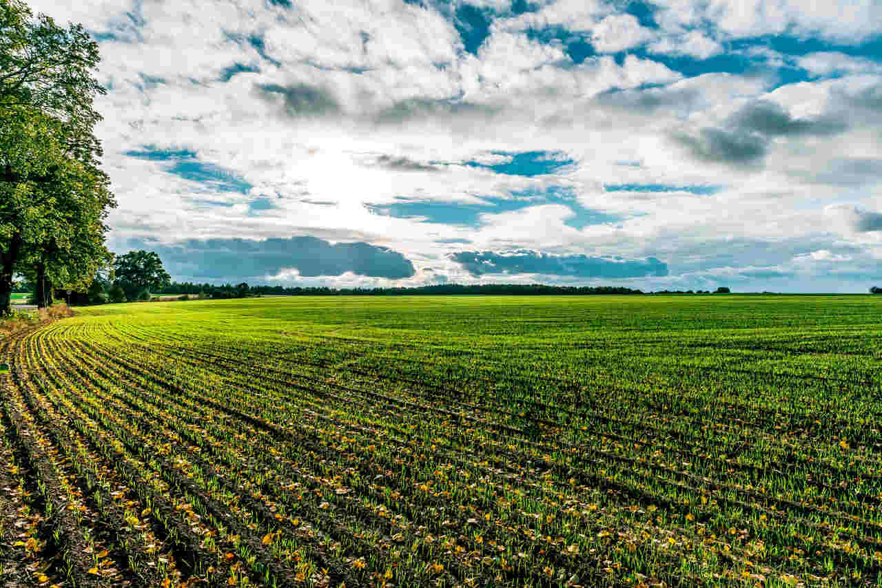Agronegócio Notícias - Dubai agritechs do Brasil apresentam benefícios da inovação no campo