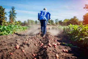 Agronegócio Notícias - Mapa negocia liberação de recursos para agricultores atingidos por estiagem