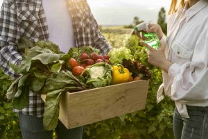 Agronegócio Notícias - Mapa lança programas para controle das cadeias produtivas dos produtos de origem vegetal