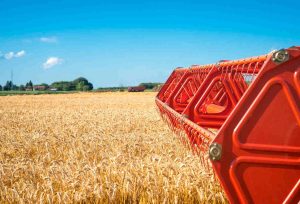 Agronegócio Notícias - Safra de grãos deve subir 6,4% em 2022, estima Conab