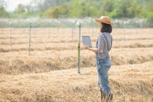 Agricultura em Goiás - Empresas podem se inscrever para participar da Feira de Alimentos de Abu Dhabi