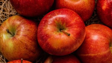 Agronegócio Notícias - Mapa e ApexBrasil lançam estudo sobre mercado de maçãs na Colômbia