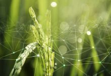Agronegócio Notícias - Projeto Hubtech vai apoiar trabalho de extensionistas e agricultores familiares