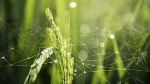 Agronegócio Notícias - Projeto Hubtech vai apoiar trabalho de extensionistas e agricultores familiares