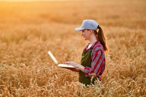 Agronegócio Notícias - Desembolso do crédito rural soma R$ 202,8 bilhões até dezembro