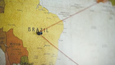 Agronegócio Notícias - Industriais brasileiros buscam oportunidades em países dos Brics