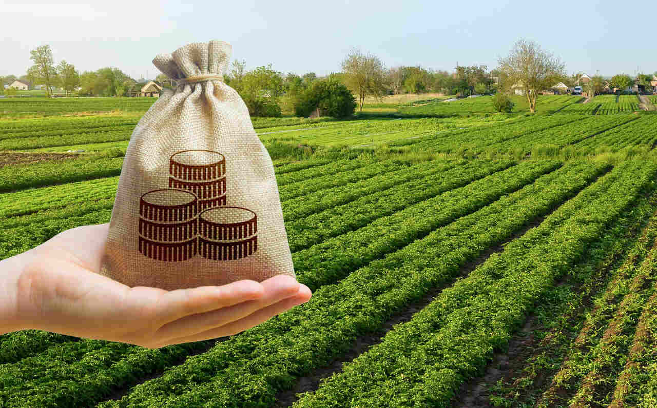 Produção Agropecuária Brasileira Alcança R$ 1.150 Trilhão em 2023 com Crescimento Notável