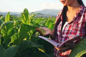 Brasil amplia horizontes Colômbia e Japão abrem portas para o agronegócio nacional
