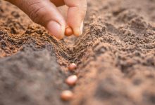 Mapa lança iniciativa para recuperação de estradas e suporte agrícola em municípios brasileiros afetados por clima severo