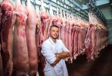 Rússia amplia acesso a carnes brasileiras 11 novas plantas frigoríficas autorizadas
