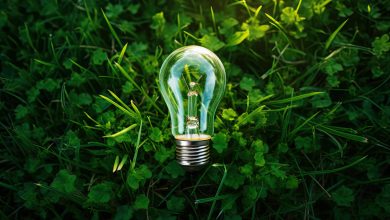 Lula anuncia direcionamento da energia verde para o Brasil