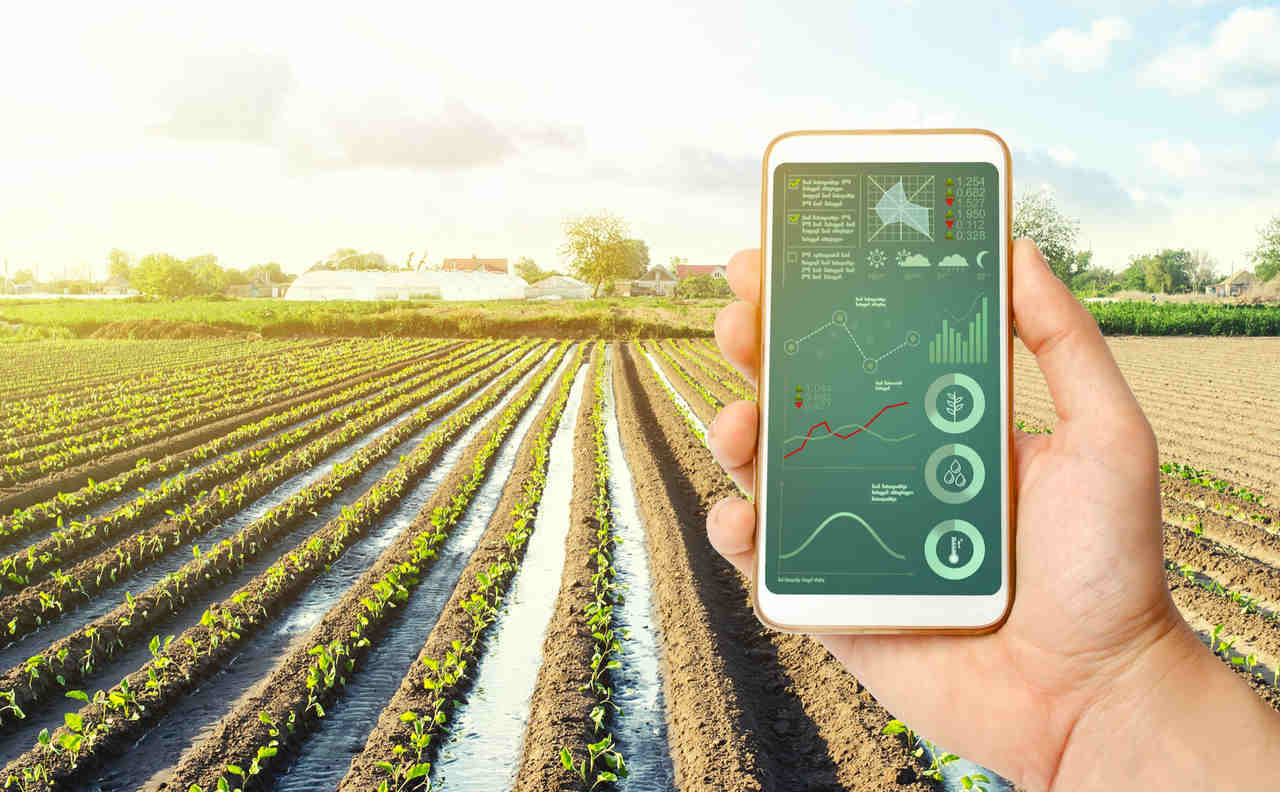 Desconto em juros para produtores rurais incentiva práticas sustentáveis no agronegócio